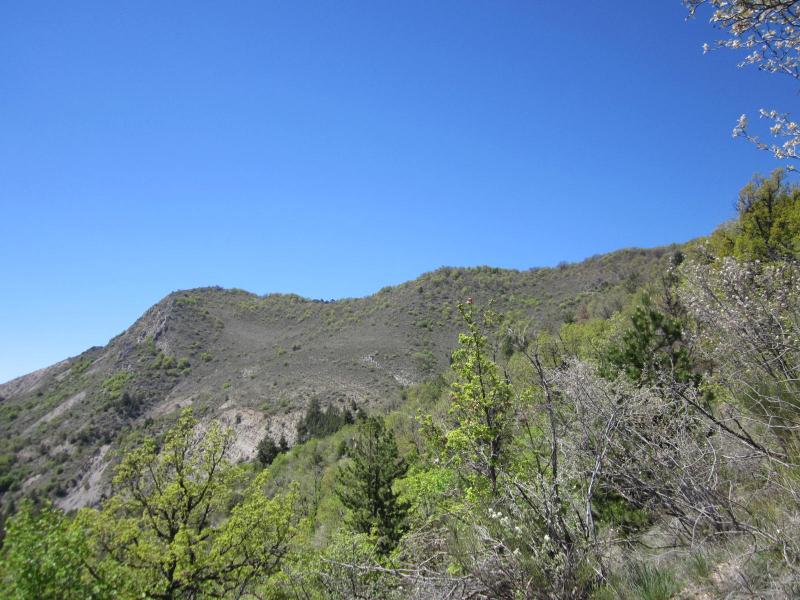 descente