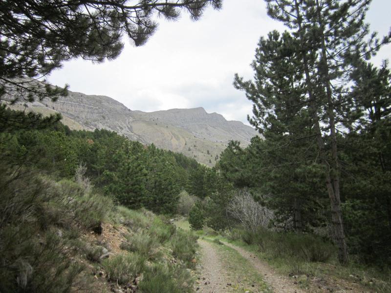 descente