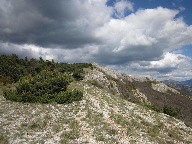 descente de la crête