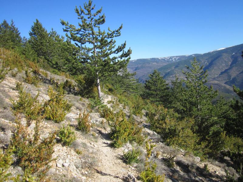 descente vers Penne le Sec