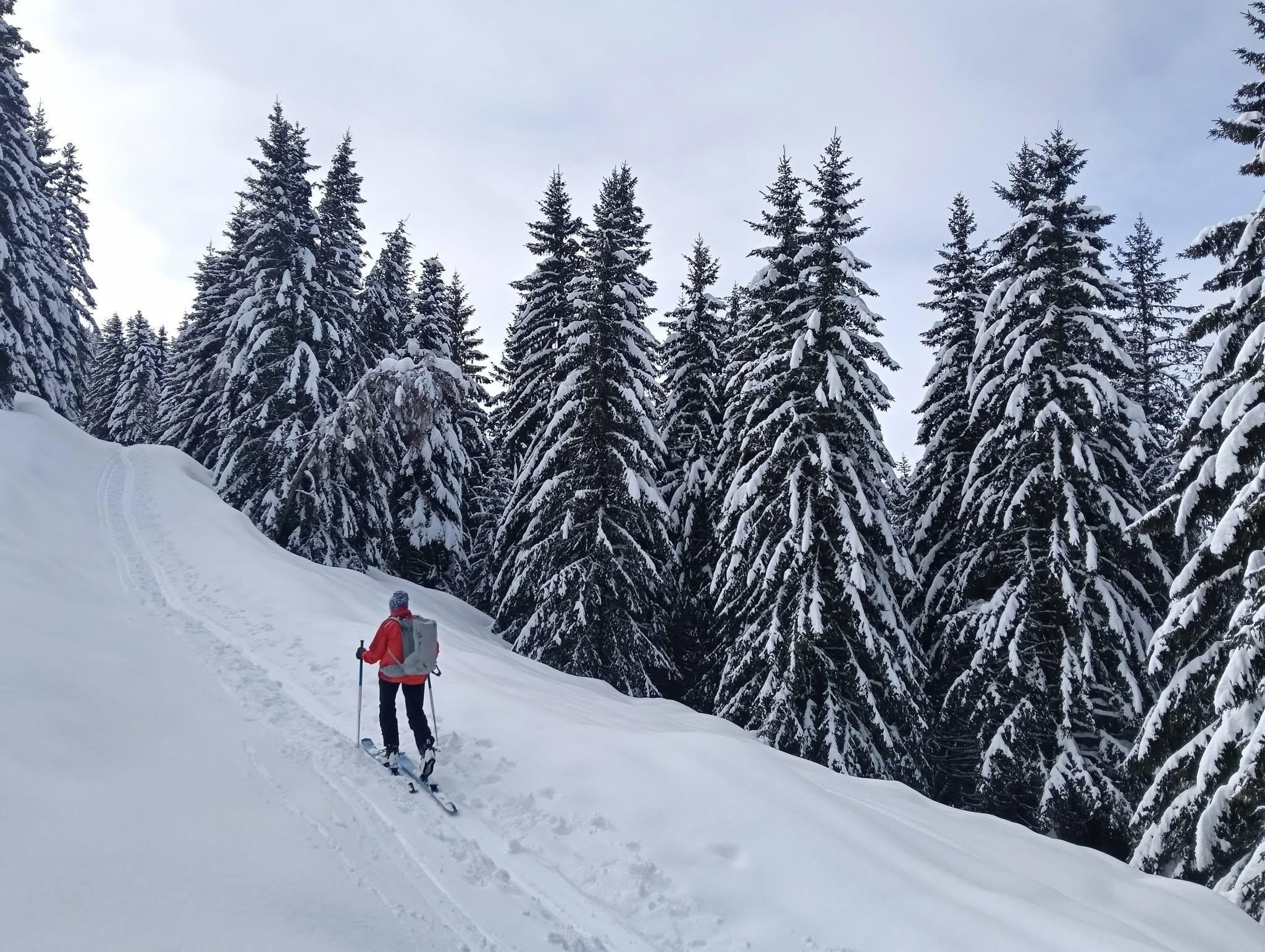 Deux rails de poudre