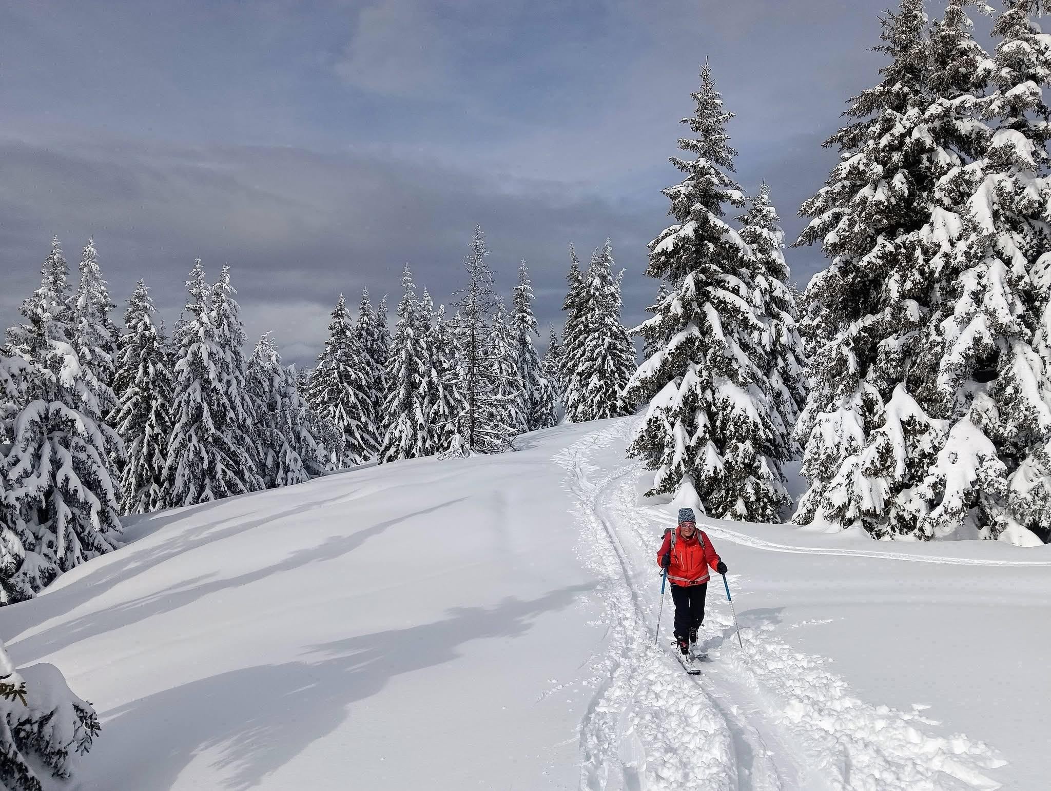 Deux rails de poudre