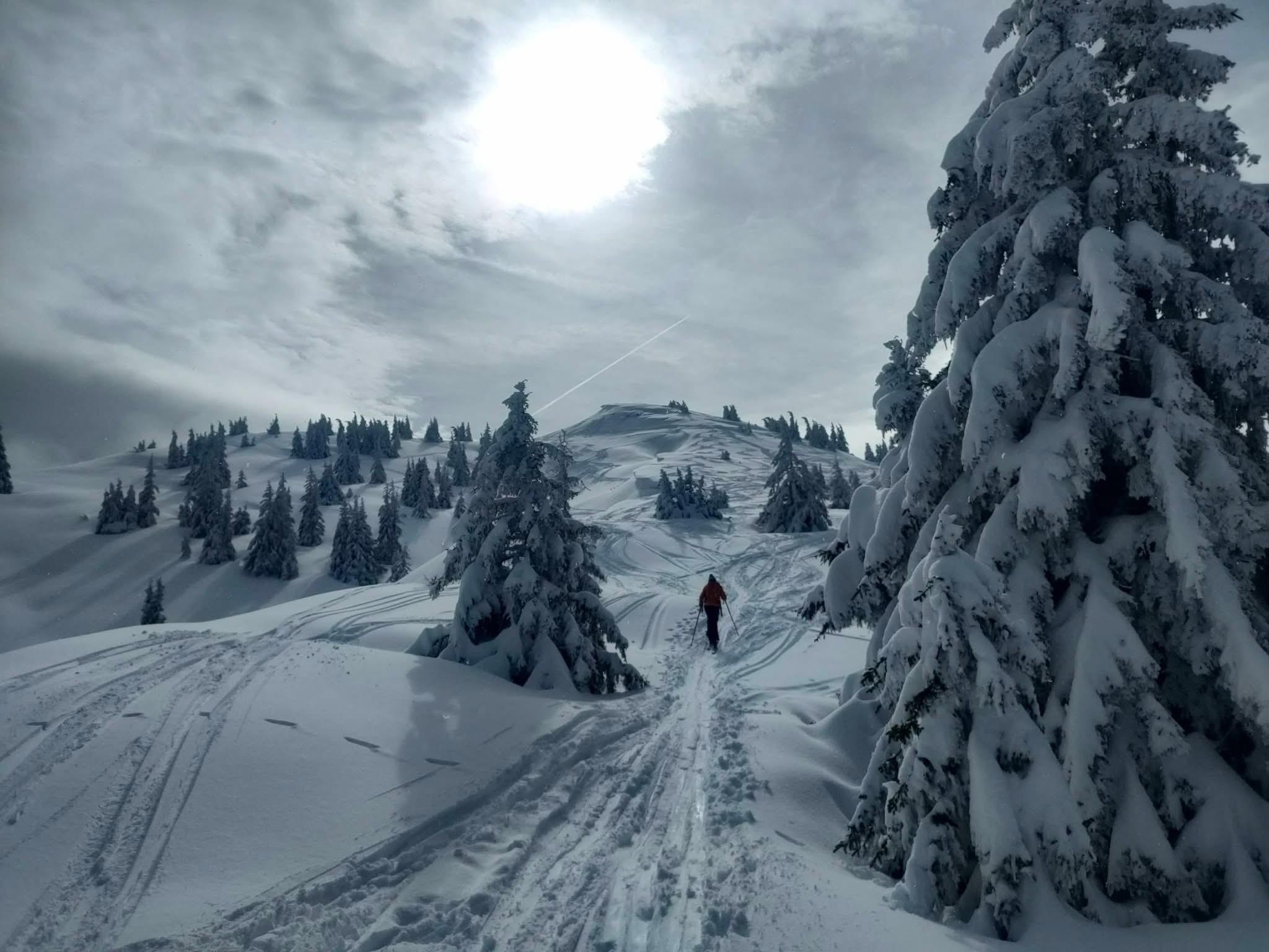 Deux rails de poudre