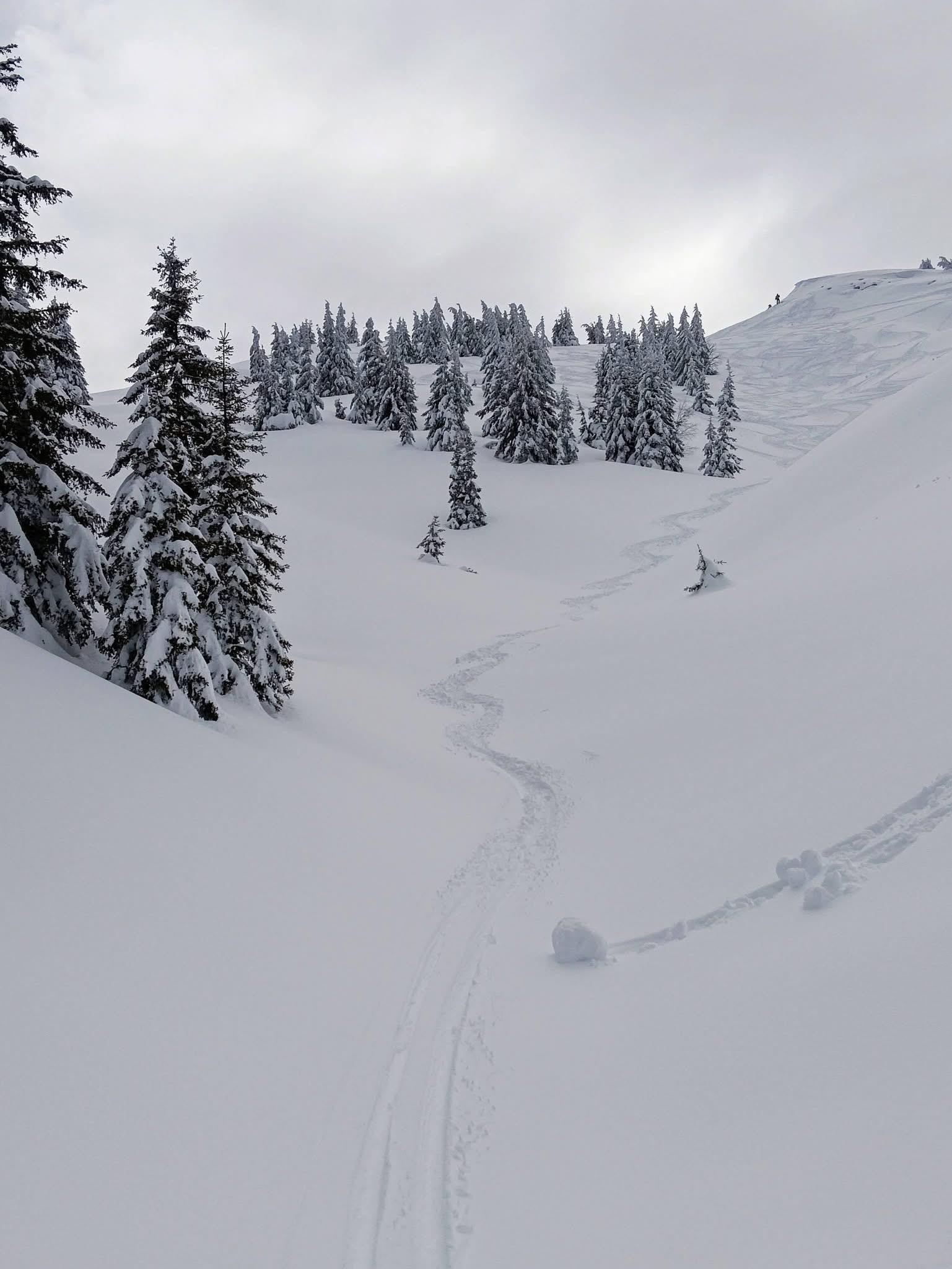 Deux rails de poudre