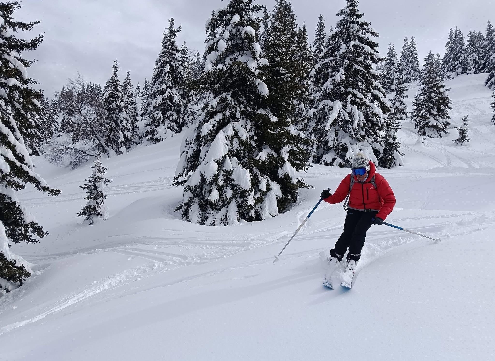 Deux rails de poudre