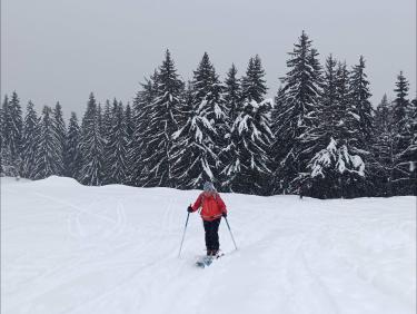 Deux rails de poudre