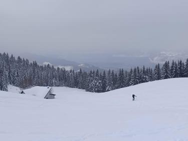 Deux rails de poudre