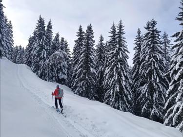 Deux rails de poudre (Le Grand Rocher)