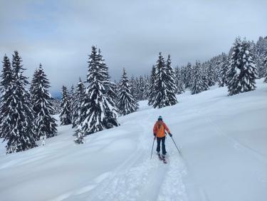 Deux rails de poudre