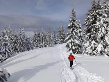 Deux rails de poudre