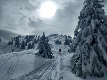 Deux rails de poudre