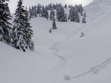Deux rails de poudre