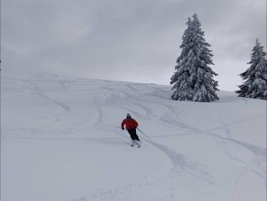 Deux rails de poudre