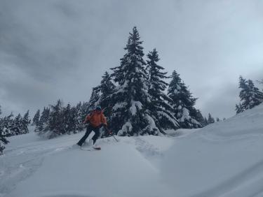 Deux rails de poudre