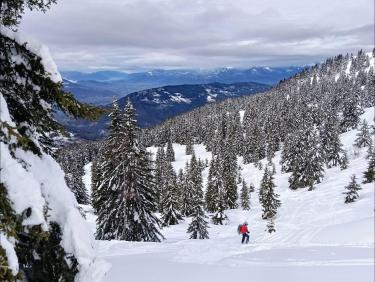 Deux rails de poudre