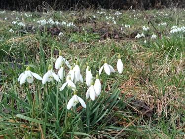 Deux rails de poudre