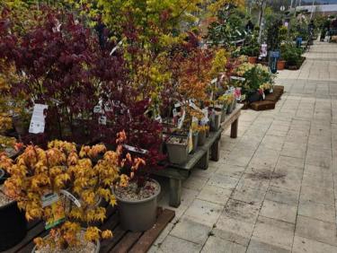 Boucle dans Montbonnot