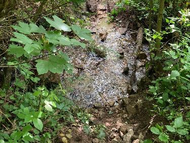 Difficile accÃ¨s au Ban par une sente