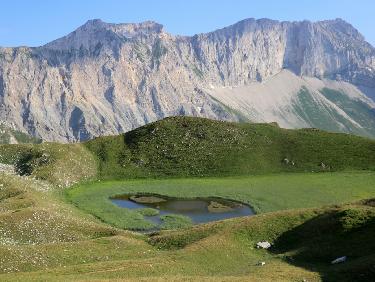 DRO_20180723_19054100