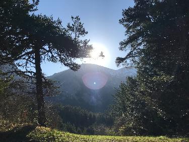 Droit dans le soleil