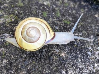 Droit dans le pentu !