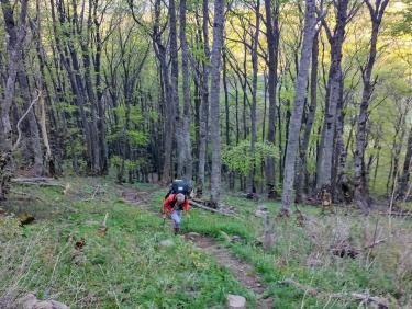 Droit dans le pentu !