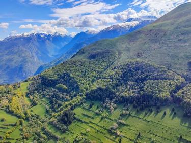 Droit dans le pentu !