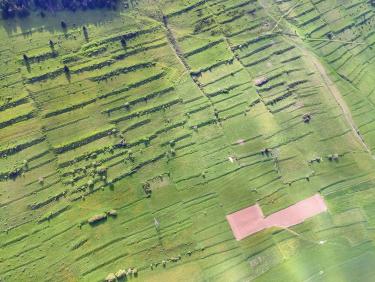 Droit dans le pentu !