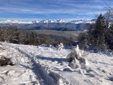 Poudreuse en Chartreuse