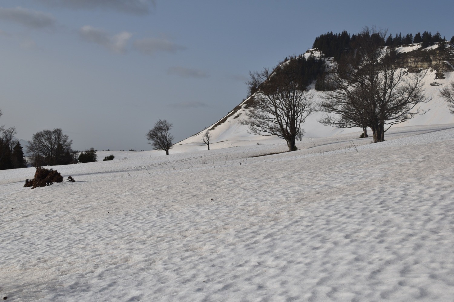 MoliÃ¨re, Plateau du Sornin en boucle depuis Engins