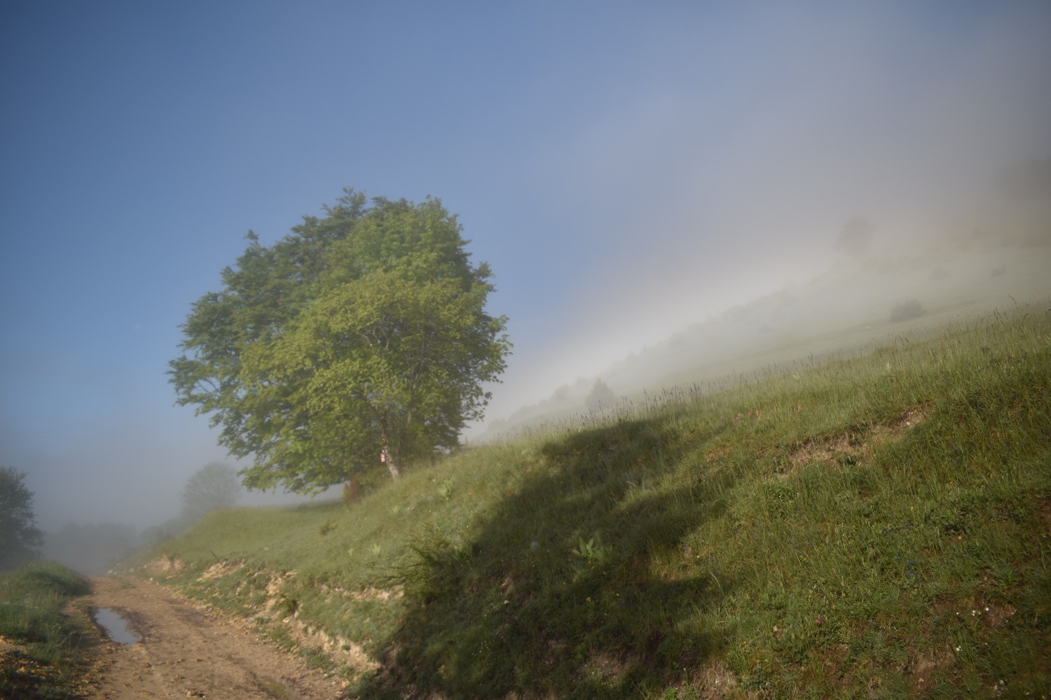 Plateau du Sornin