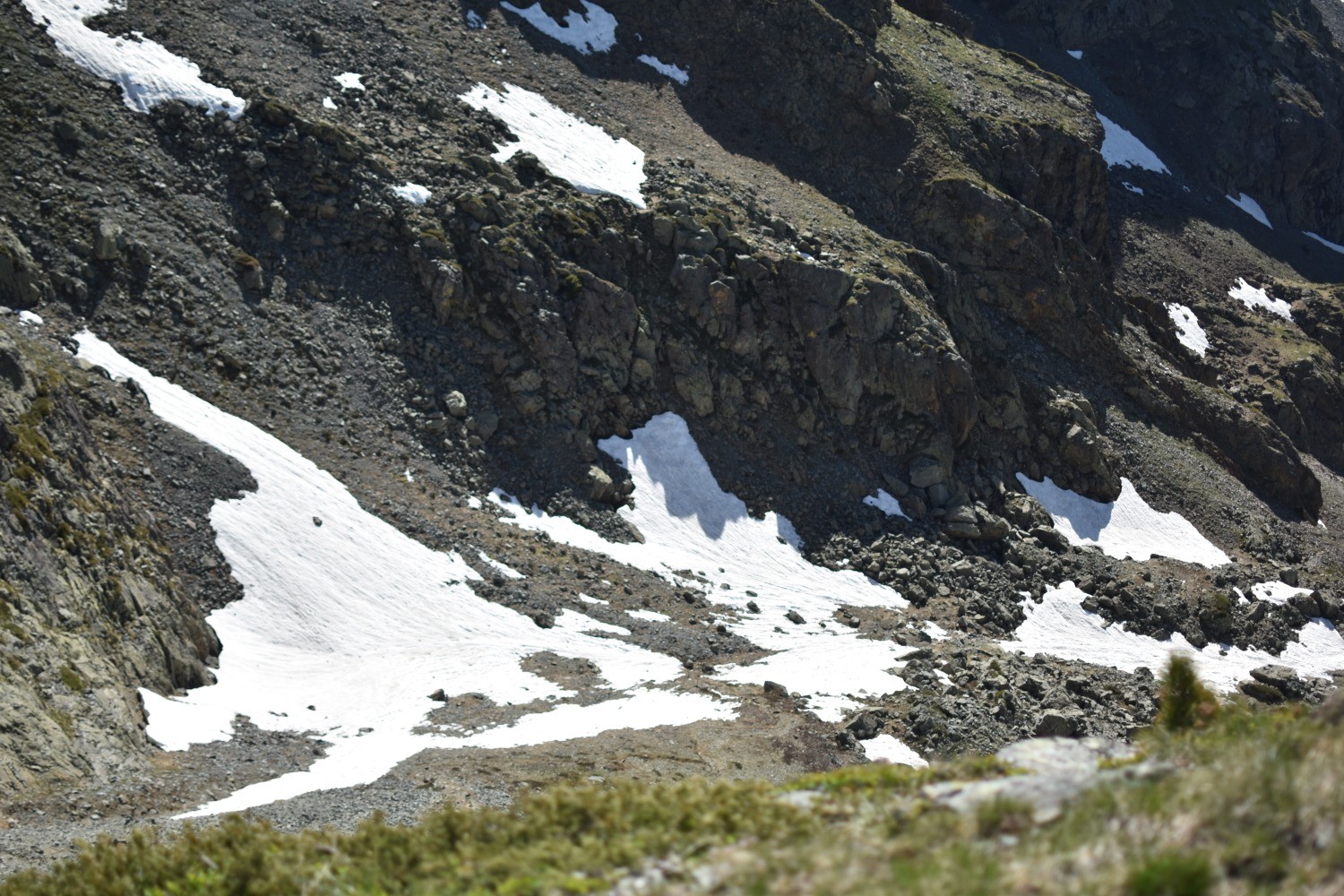 Grand Colon