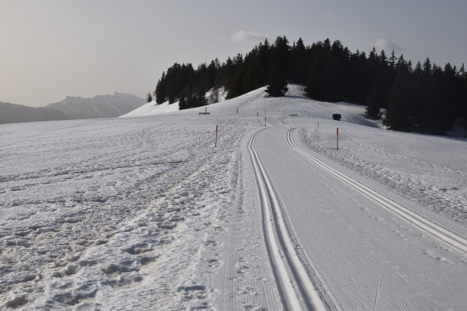 MoliÃ¨re , Plateau du Sornin en boucle depuis Engins