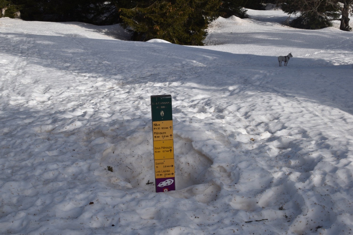 MoliÃ¨re , Plateau du Sornin en boucle depuis Engins