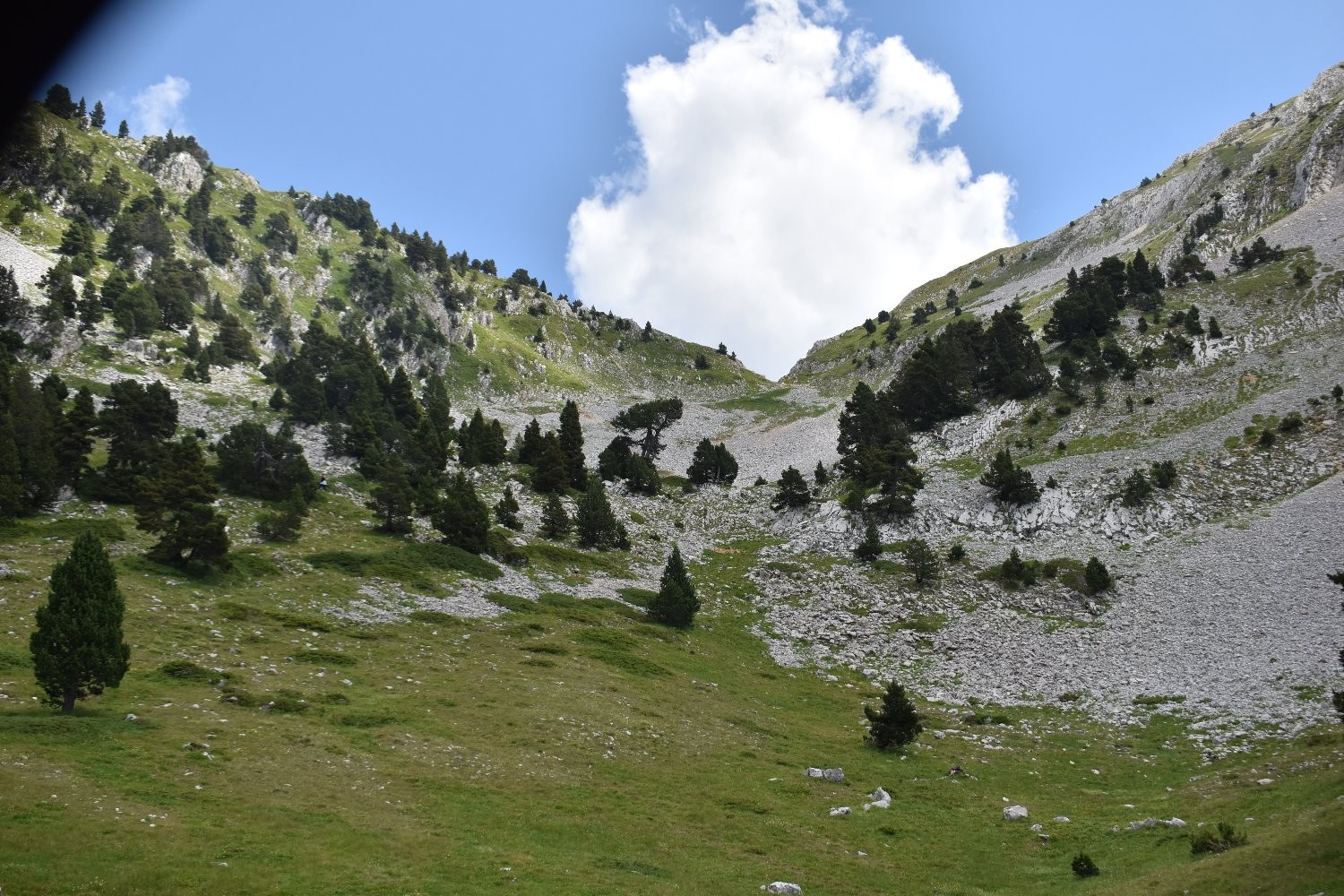 Pas de BerriÃ¨ves et Pas de la Ville en boucle