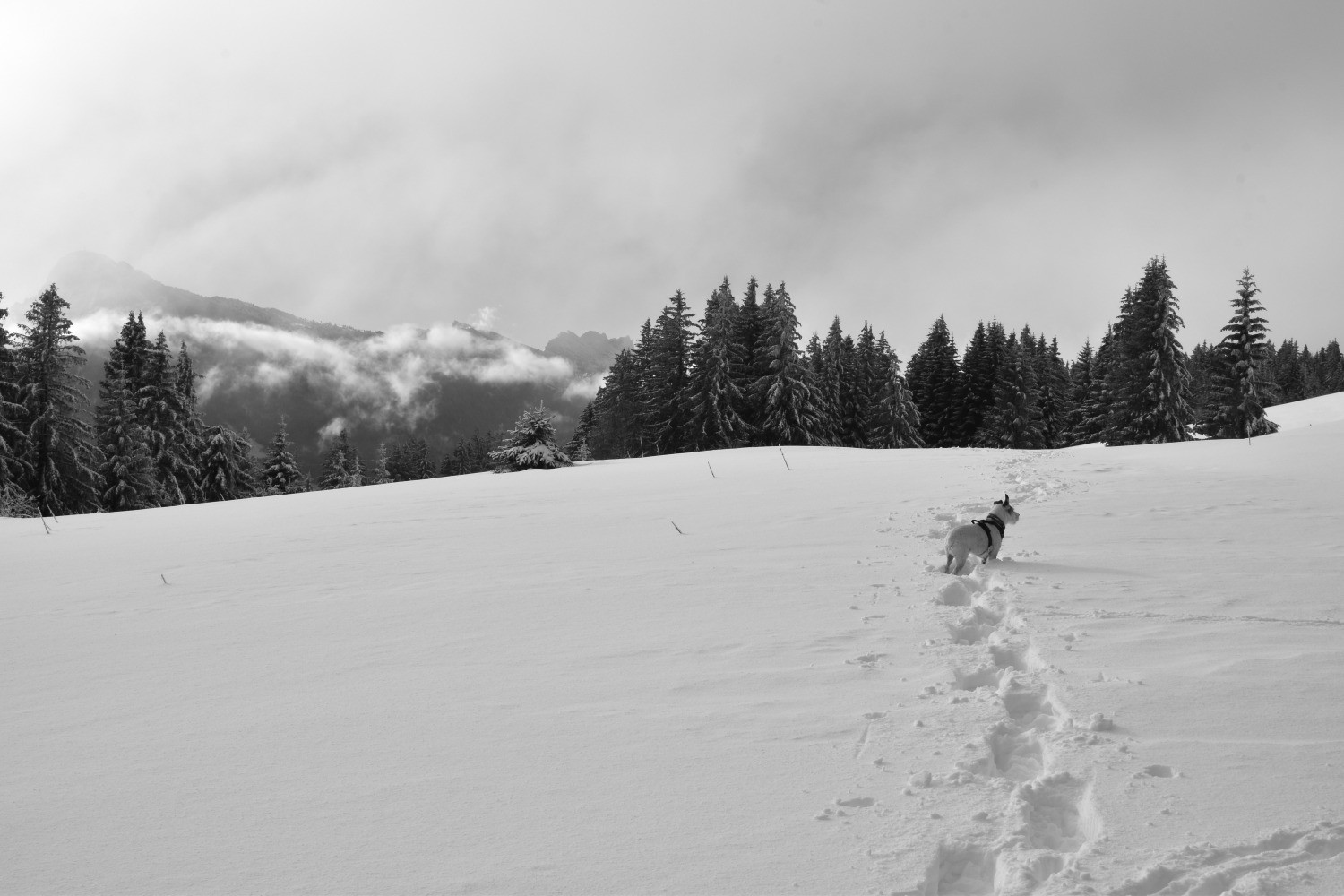DSC_0027