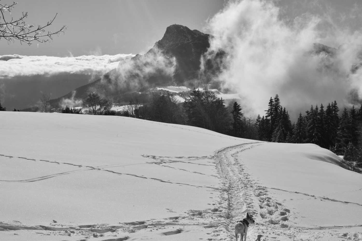 Plein cap sur le Moucherotte