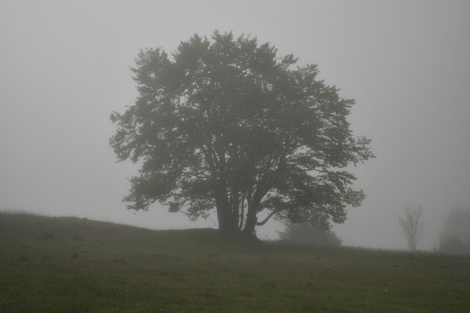 DSC_0051