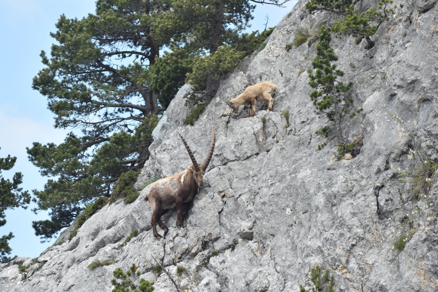 Rocher du Playnet