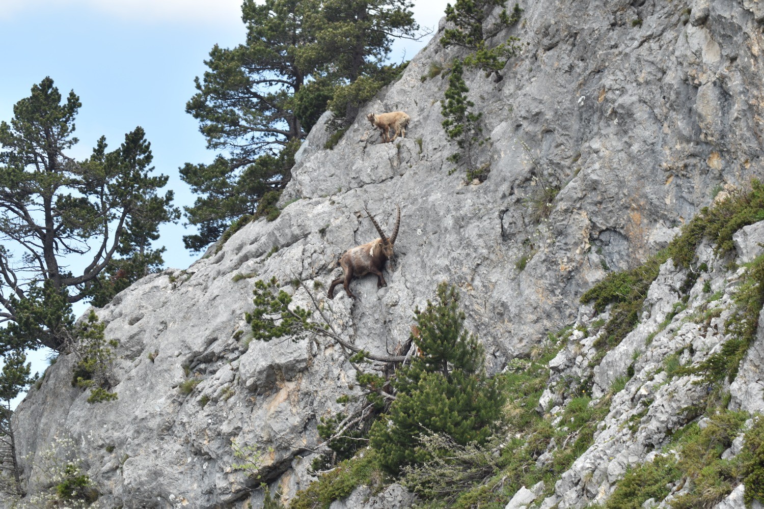 Rocher du Playnet