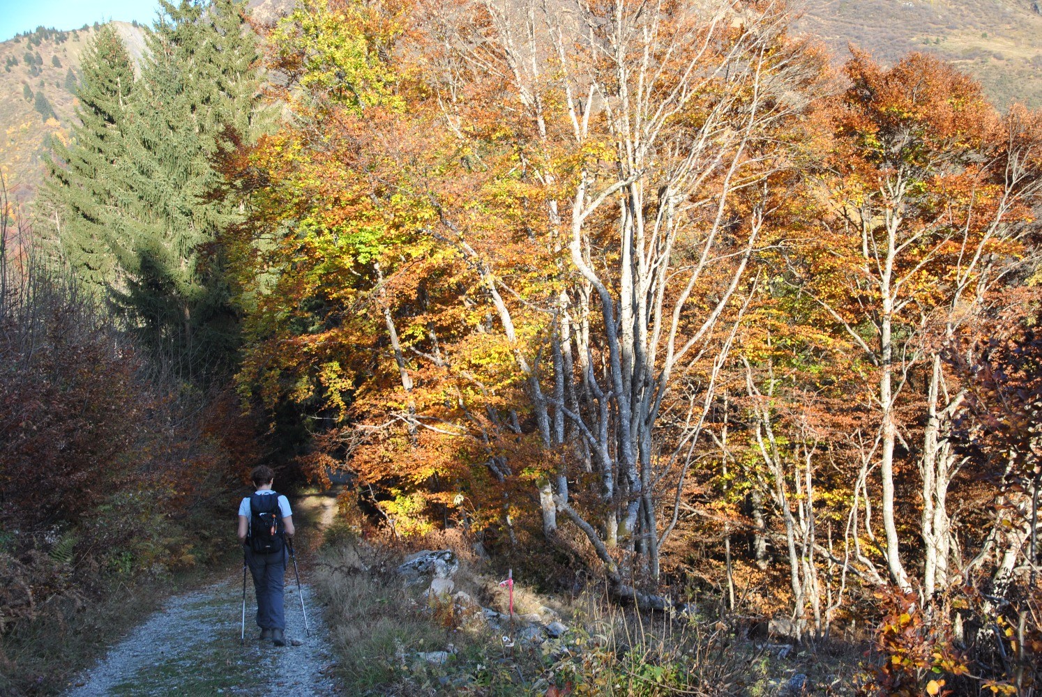 Couleurs d'automne