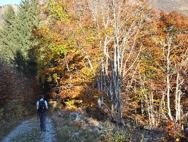 Couleurs d&apos;automne
