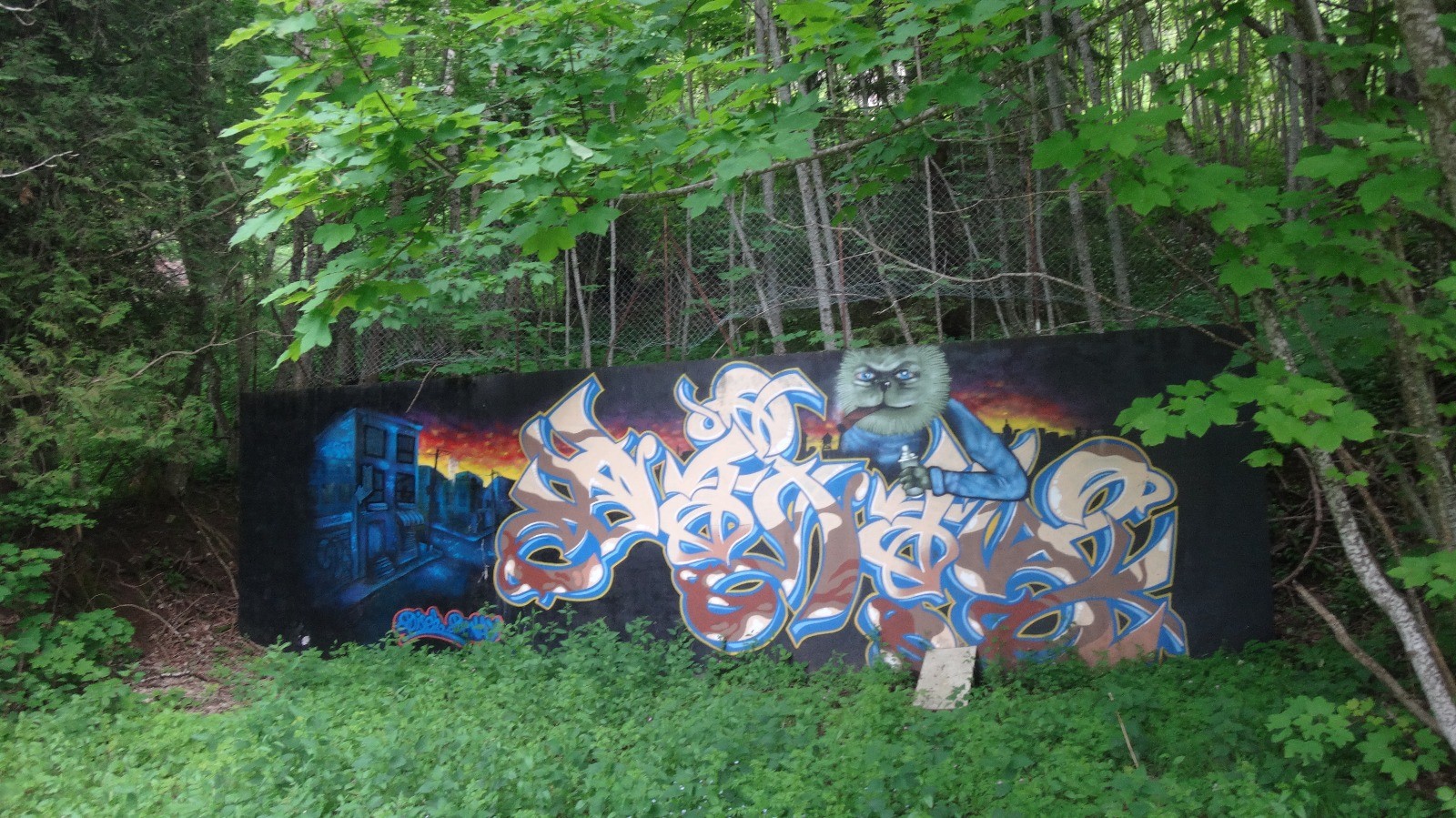 DSC00726