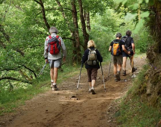 dsc01898.jpg__559x440_q70_crop_subsampling-2_upscale