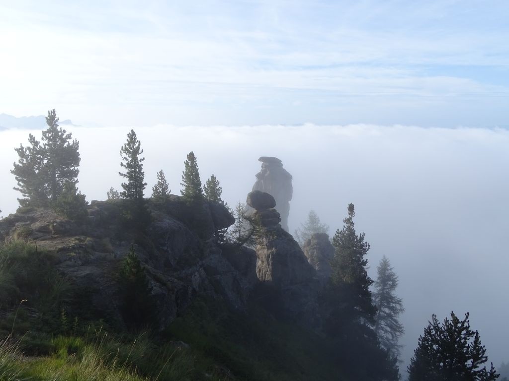 DSC01900_2