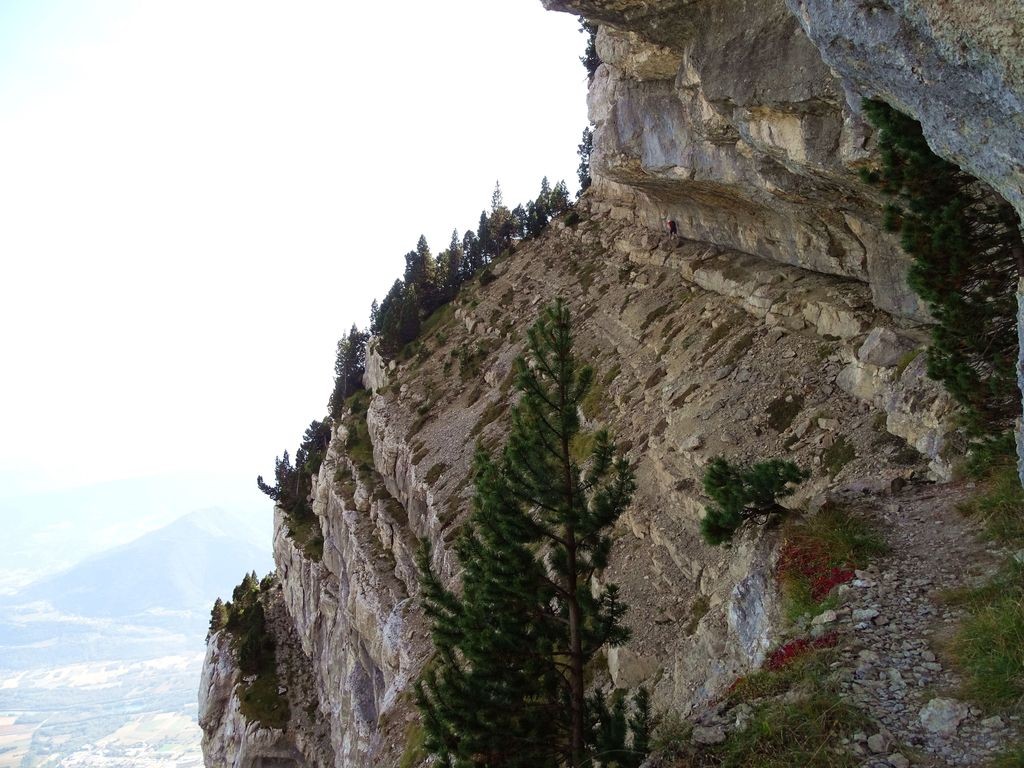 DSC02216_3