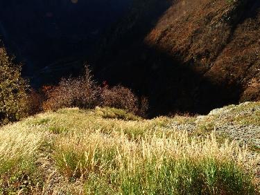 Sentier ONF de la Petite Vaudaine