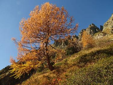 MÃ©lÃ¨ze, vallon de la Petite Vaudaine.