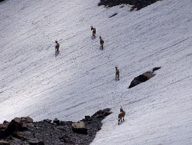 Etagnes sous la Grande LauziÃ¨re