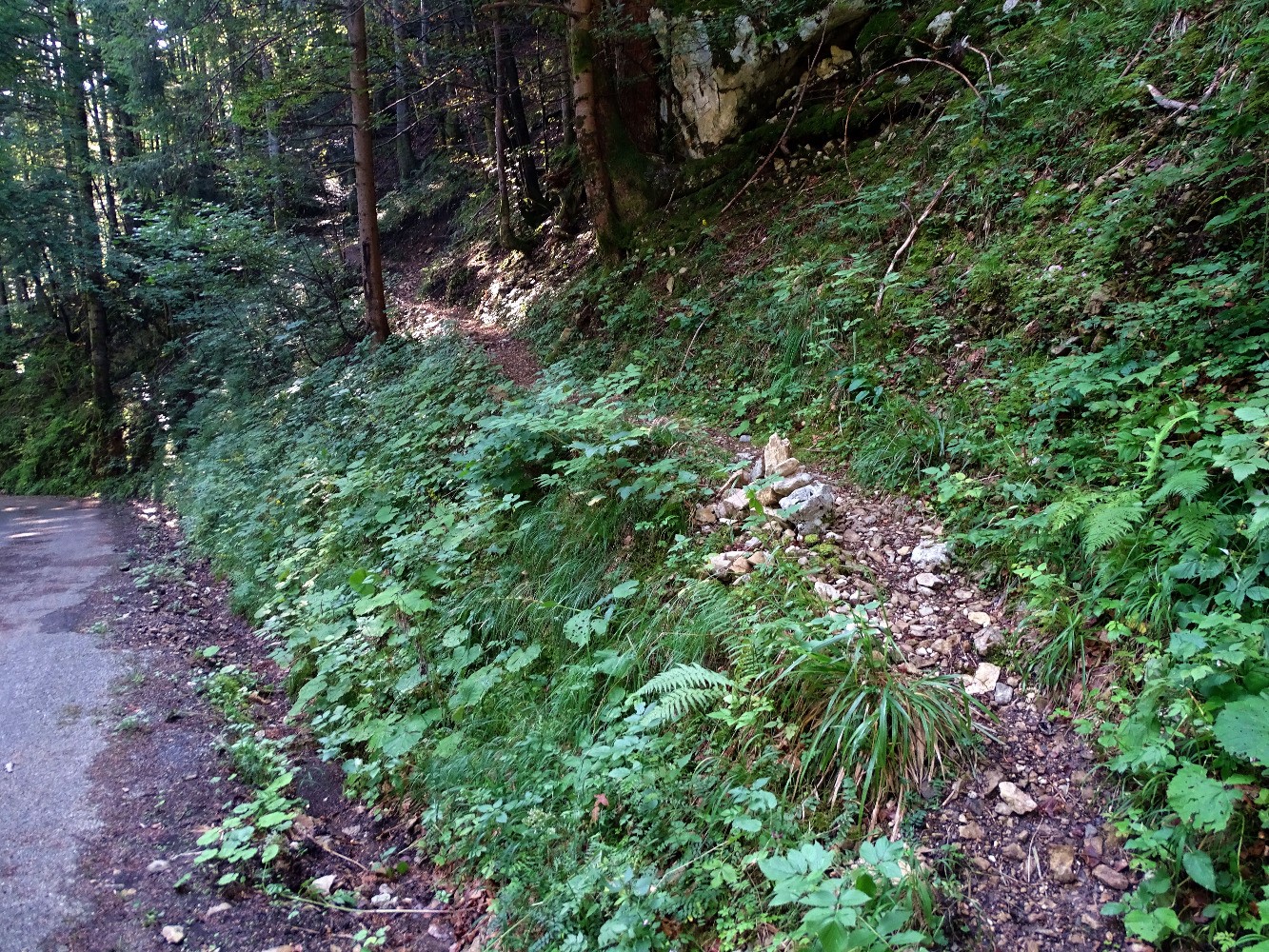 DÃ©part du sentier